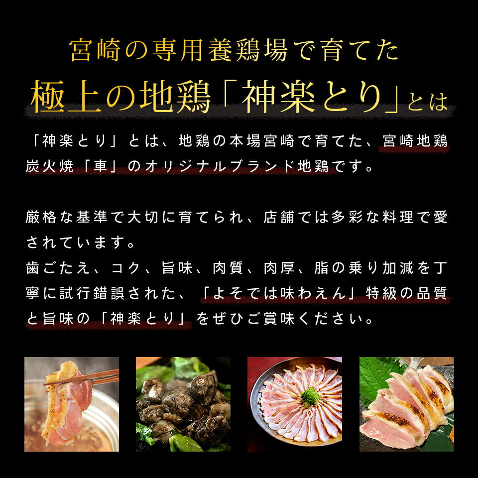 【送料無料】合計10万食突破★鶏の水炊き2人前【クール冷凍便】