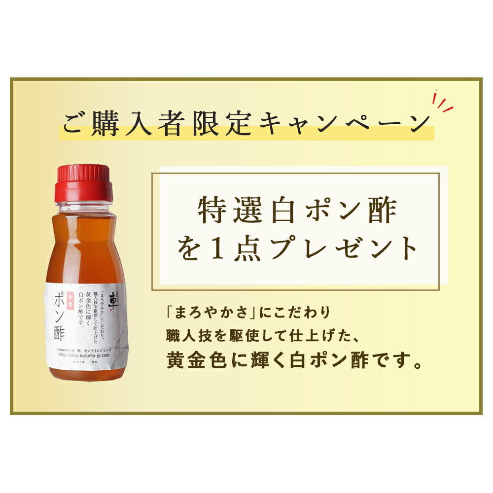 【送料無料】合計10万食突破★鶏の水炊き2人前【クール冷凍便】