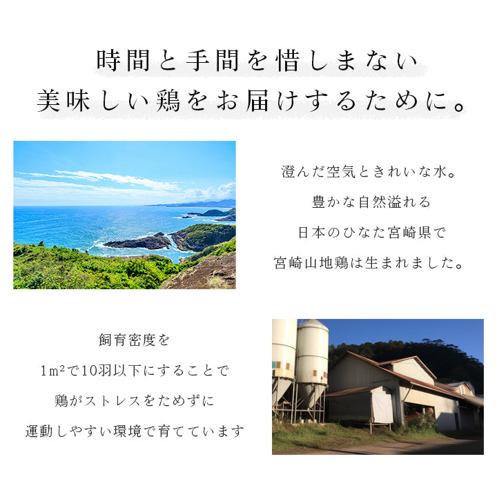 【クール冷凍便】宮崎山地鶏 骨付きもも肉 レア焼き【1本】
