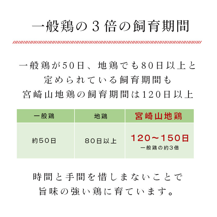 【クール冷凍便】宮崎山地鶏 骨付きもも肉 レア焼き【1本】