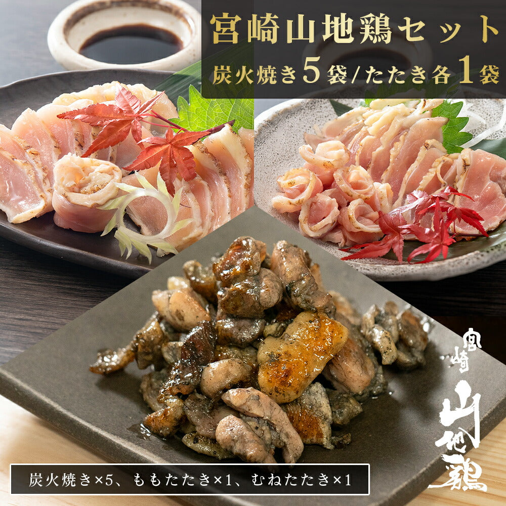 宮崎名物 鶏の炭火焼き 炭火焼き鶏 6種類 6袋 - 避難生活用品