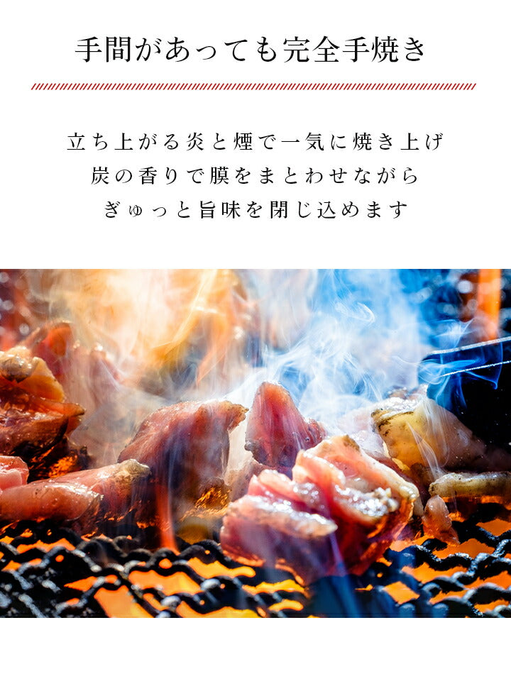 【クール冷凍便】宮崎山地鶏 炭火焼き レア焼き【100g×1袋】